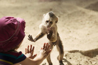 Close-up of hand eating