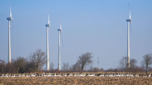 Panoramic view of wind turbines on field against sky swan 