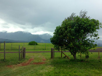 Scenic view of grassy field against cloudy sky