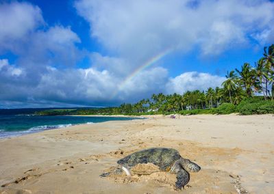 Scenic view of beach against sky