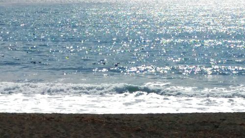 Scenic view of beach