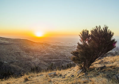 Scenic view of field against sky during sunset