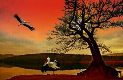 Flock of birds flying against the sky