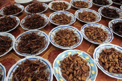 High angle view of cockroaches and grasshoppers served in plates