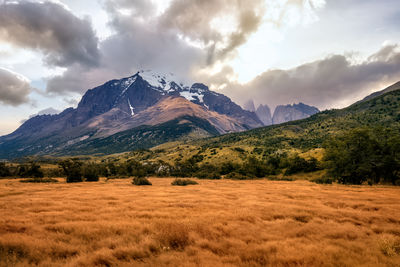 Scenic view of field against sky