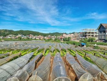 Panoramic urban city view of agricultural land buildings against blue sky