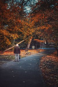 Rear view of man walking on footpath during autumn