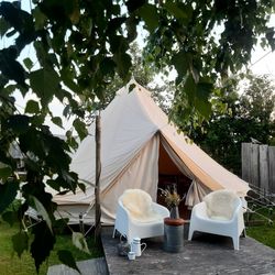 Table and chairs by plants in yard