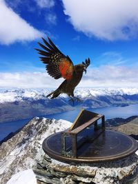Bird flying over snowcapped mountains against sky