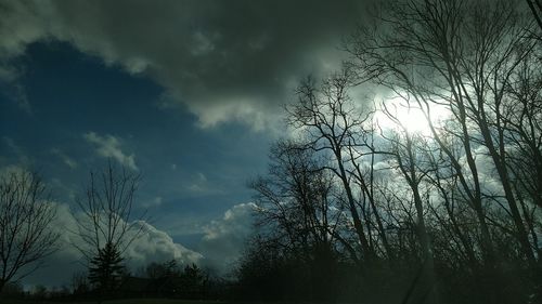 Low angle view of silhouette trees against sky