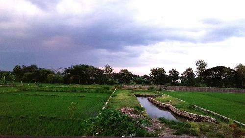 Scenic view of field against sky