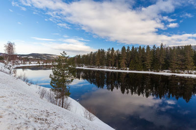 Beautiful landscape , with reflection of the forest in the river at kongsberg, norway