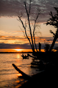 Silhouette trees by sea against sky during sunset