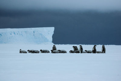 People on snow covered landscape against sky