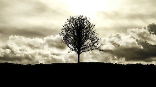 Low angle view of silhouette trees against cloudy sky