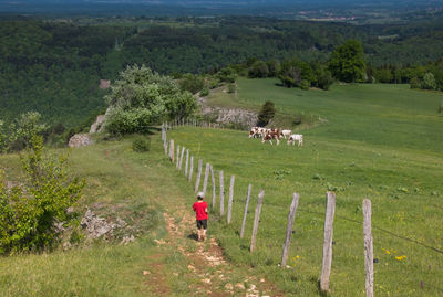 A child's walk on the plateau above the rock of hautepierre in the doubs free county
