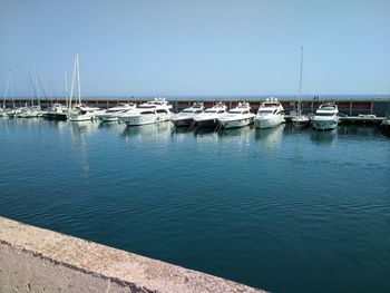 Sailboats moored in harbor