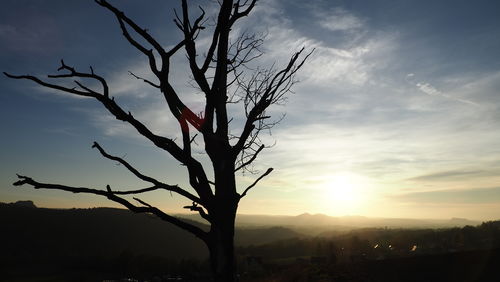 Silhouette bare tree against sky during sunset