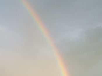 Low angle view of rainbow over trees