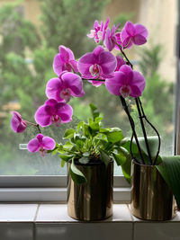 Close-up of pink flower vase on table
