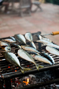 High angle view of fish on barbecue grill