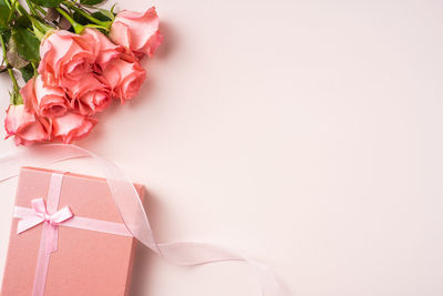 Close-up of pink flower against white background