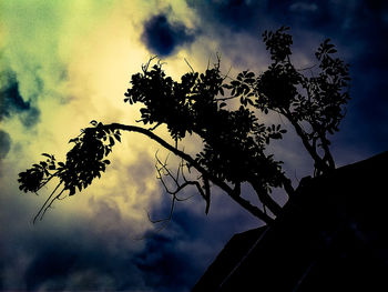 Low angle view of silhouette tree against sky at sunset