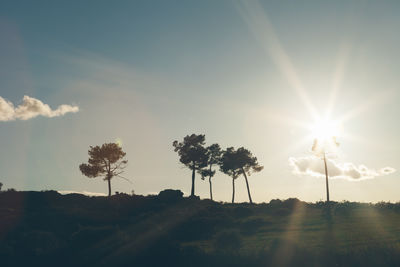 Silhouette trees on landscape against sky