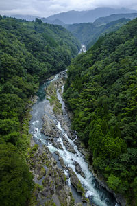 High angle view of river amidst trees in forest