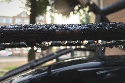 Close-up of water drops on railing