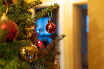 Close-up of christmas decoration hanging on tree