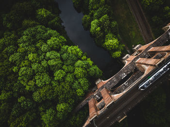 Directly above shot of railroad tracks amidst trees in forest