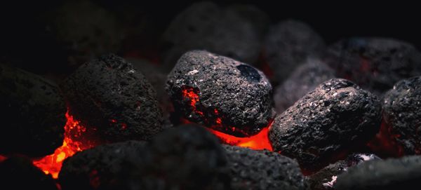 Close-up of bonfire on wood