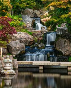 View of waterfall along rocks and plants