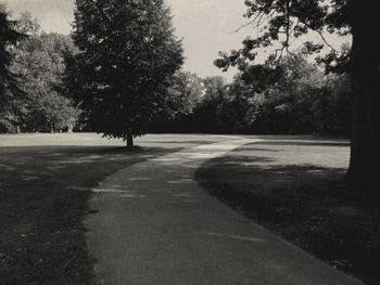 Empty footpath at park