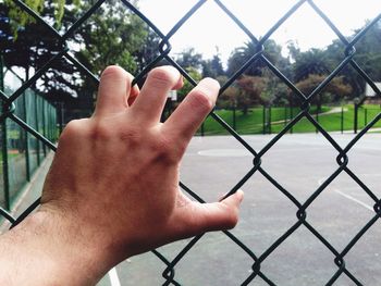 Cropped image of man holding chainlink fence