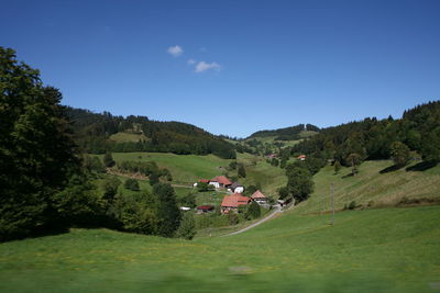 Scenic view of trees growing on field against sky