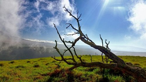 Scenic view of landscape against cloudy sky