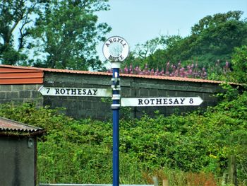 Information sign by road against trees