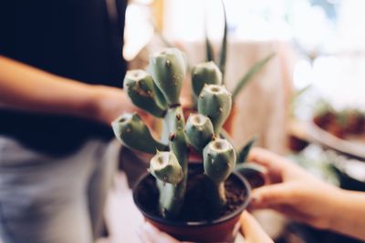 Close-up of hand holding ice cream