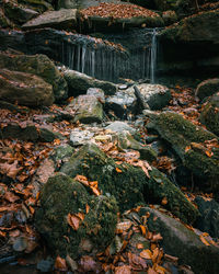 Waterfall behind moss rocks in the forest in autumn, golden leaves