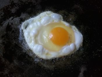 Close-up of egg in plate