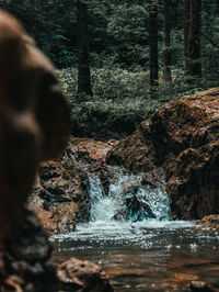 Scenic view of waterfall in forest