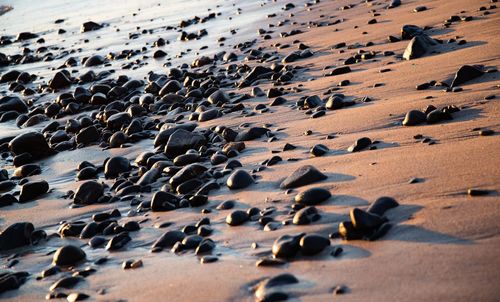 Black rock at the beach 