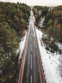 High angle view of road along trees