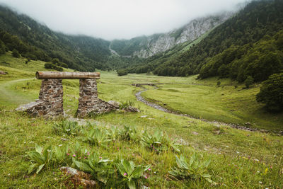 Scenic view of field against mountains