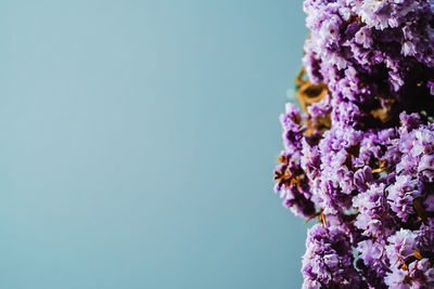 Close-up of purple flowering plant against blue sky