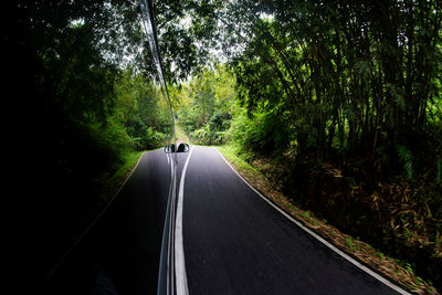 Empty road amidst trees in forest