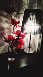 Close-up of red roses in vase on table