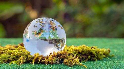 Close-up of glass ball on land against trees